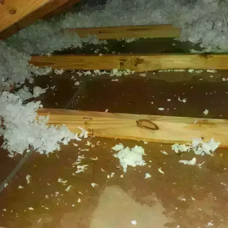 Attic Water Damage in Rochester Hills, MI