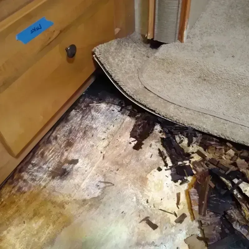 Wood Floor Water Damage in Rochester Hills, MI